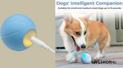 Cheerble Interaktív okos játéklabda kutyáknak és macskáknak Cheerble Ball W1 SE