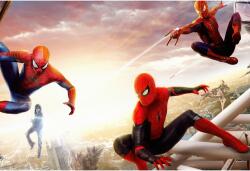  Poster All Spiderman From Different Dimensions, 61x90cm, poster1973 (poster1973)