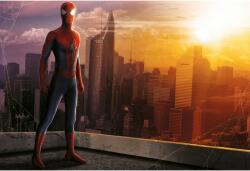 Poster Spiderman Faith, 61x90cm, poster1171 (poster1171)
