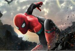 Poster Spiderman In No Way Home, 61x90cm, poster2529 (poster2529)