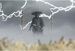 Poster Ghost Of Tsushima The Duelist, 61x90cm, poster1556 (poster1556)