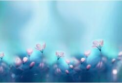 Tablou Canvas White Primroses On A Beautiful Blue Background, 80x50cm, tabloucanvas399 (tabloucanvas399/50x80cm)
