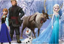 Tablou Canvas Frozen Movie 2, 80x50cm (tablou233/50x80cm)