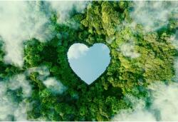 Tablou Canvas A Heart-Shaped Lake In The Middle Of Nature, 80x50cm, tabloucanvas663 (tabloucanvas663/50x80cm)