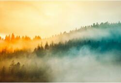 Tablou Canvas Foggy Colorful Trees, 80x50cm, tabloucanvas195 (tabloucanvas195/50x80cm)