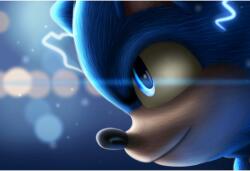 Tablou Canvas Sonic The Hedgehog Artwork 2020, 80x50cm, tablou489 (tablou489/50x80cm)