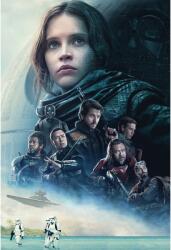 Poster Rogue One A Star Wars Story, 61x90cm (poster278)
