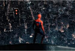 Poster 2022 Spiderman Remastered PS5, 61x90cm, poster2095 (poster2095)