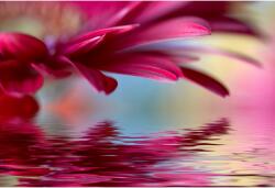 Tablou Canvas Bright Red Petals, 80x50cm, tabloucanvas895 (tabloucanvas895/50x80cm)