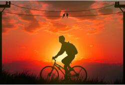 Poster Morning Bicycle Ride, 61x90cm, poster1205 (poster1205)