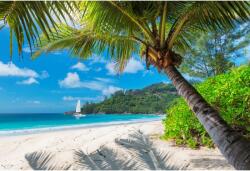 Tablou Canvas View With Palms, Golden Sand And Crystal Clear Sea Water, 80x50cm, tabloucanvas1019 (tabloucanvas1019/50x80cm)