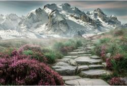 Tablou Canvas Flowery Path On Snow-Capped Mountain Peak, 80x50cm, tabloucanvas747 (tabloucanvas747/50x80cm)