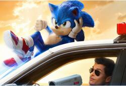 Tablou Canvas Sonic The Hedgehog, 80x50cm, tablou440 (tablou440/50x80cm)