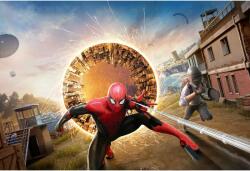  Poster Pubg x Spider Man No Way Home, 61x90cm, poster982 (poster982)
