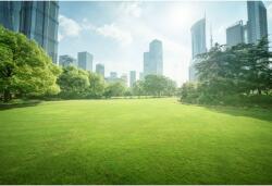 Tablou Canvas Green Space In Central Shanghai, 80x50cm, tabloucanvas432 (tabloucanvas432/50x80cm)