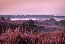 Tablou Canvas Wonderful Hills In Purple, 80x50cm, tabloucanvas371 (tabloucanvas371/50x80cm)