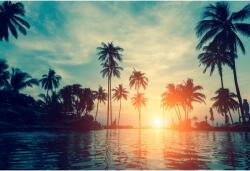  Tablou Canvas Tropical Twilight, 80x50cm, tabloucanvas1011 (tabloucanvas1011/50x80cm)