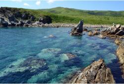Tablou Canvas Rocks Under Water A Summer Picture, 80x50cm, tabloucanvas711 (tabloucanvas711/50x80cm)