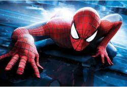 Tablou Canvas Spiderman Climbing, 80x50cm (tablou283/50x80cm)