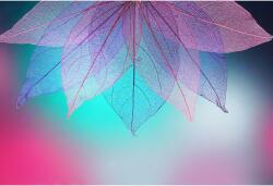 Tablou Canvas Pink And Blue Trasnsparent Leaves Background, 80x50cm, tabloucanvas870 (tabloucanvas870/50x80cm)