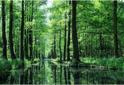 Tablou Canvas Water Channel Through Green Forest, 80x50cm, tabloucanvas850 (tabloucanvas850/50x80cm)