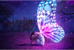  Tablou Canvas Fairy Tale, 80x50cm, tablou847 (tablou847/50x80cm)