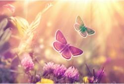 Tablou Canvas Colorful Butterflies On Blooming Meadows During Spring, 80x50cm, tabloucanvas880 (tabloucanvas880/50x80cm)
