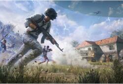  Tablou Canvas 2022 Pubg Special Force, 80x50cm, tablou575 (tablou575/50x80cm)
