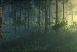  Tablou Canvas Glowing Fog Among The Trees, 80x50cm, tabloucanvas748 (tabloucanvas748/50x80cm)