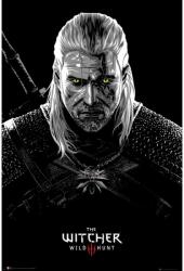 The Witcher Poster The Witcher Toxicity Poisoning 61x91cm (FP4939)