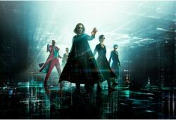 Poster 2021 The Matrix Resurrections, 61x90cm, poster2244 (poster2244)