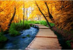  Tablou Canvas Stream, Wooden Pond And Autumn Colors, 80x50cm, tabloucanvas357 (tabloucanvas357/50x80cm)