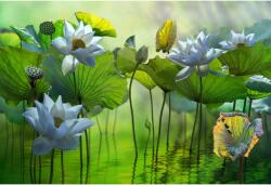 Tablou Canvas Lovely Indian Lotus, 80x50cm, tabloucanvas962 (tabloucanvas962/50x80cm)