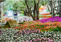  Tablou Canvas Beautiful Park In Spring, 80x50cm, tabloucanvas1151 (tabloucanvas1151/50x80cm)