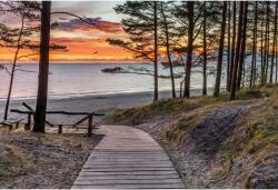 Tablou Canvas Going Down The Footpath Towards The Beach, 80x50cm, tabloucanvas891 (tabloucanvas891/50x80cm)