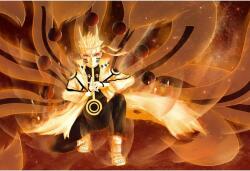 Poster Naruto Shippuden Nine Tail Mode, 61x90cm (poster55)