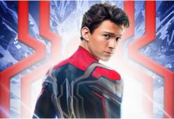  Poster Tom Holland Spider Man No Way Home, 61x90cm, poster2288 (poster2288)