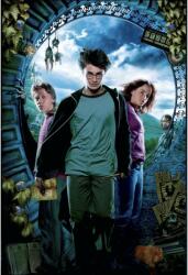  Tablou Canvas Harry Potter Prisoner Of Azkaban, 80x50cm (tablou48/50x80cm)