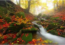 Tablou Canvas Fall Foliage And A Flowing Stream, 80x50cm, tabloucanvas322 (tabloucanvas322/50x80cm)