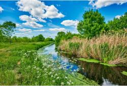 Tablou Canvas Blue And Clody Sky Over A Liittle Creek, 80x50cm, tabloucanvas754 (tabloucanvas754/50x80cm)