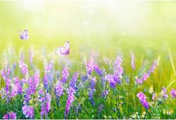 Tablou Canvas Beautiful Gentle Spring Summer, 80x50cm, tabloucanvas404 (tabloucanvas404/50x80cm)
