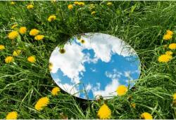 Tablou Canvas Beautiful Summer Grass And Clear Clouds Reflection In The Mirror, 80x50cm, tabloucanvas1187 (tabloucanvas1187/50x80cm)