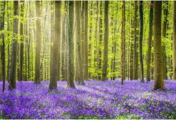 Tablou Canvas Colors Of The Forest In Spring, 80x50cm, tabloucanvas933 (tabloucanvas933/50x80cm)