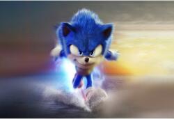 Tablou Canvas Sonic The Hedgehog 2, 80x50cm, tablou474 (tablou474/50x80cm)