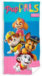 Nickelodeon Prosop Paw Patrol Pup Pals Forever, 140x70cm (8435631308829)