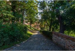 Tablou Canvas Strolling Path Between The Trees Shadows, 80x50cm, tabloucanvas760 (tabloucanvas760/50x80cm)