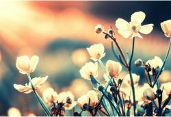 Tablou Canvas Beautiful Wild Flowers, 80x50cm, tabloucanvas603 (tabloucanvas603/50x80cm)