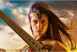 Poster Wonder Woman Cosplay Warrior, 61x90cm, poster605 (poster605)