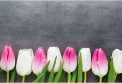 Tablou Canvas White And Pink Gentle Tulips, 80x50cm, tabloucanvas826 (tabloucanvas826/50x80cm)