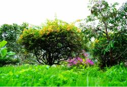 Tablou Canvas Nature Corner Panorama, 80x50cm, tabloucanvas1147 (tabloucanvas1147/50x80cm)